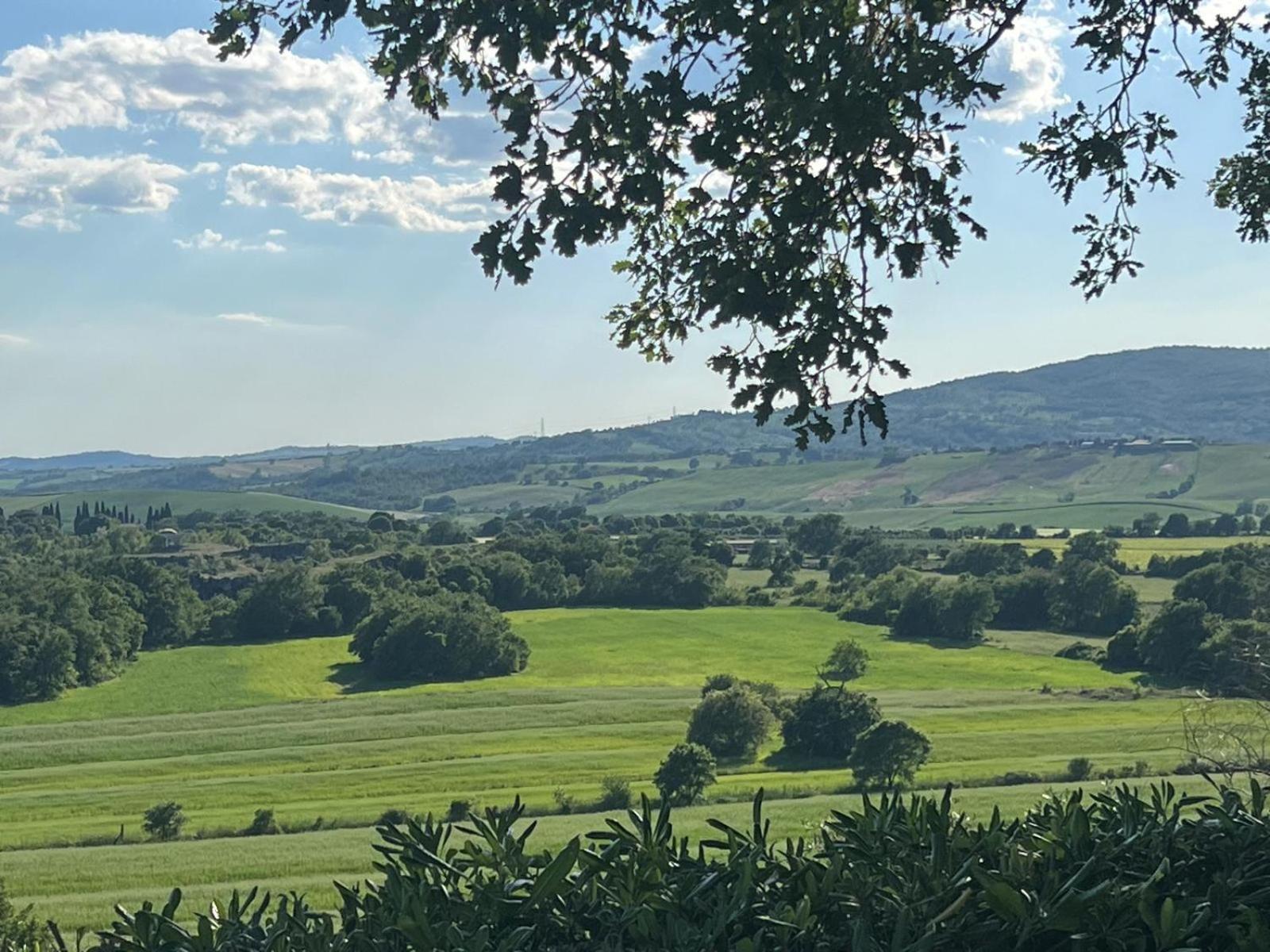 Agriturismo La Castellina Saturnia Zewnętrze zdjęcie