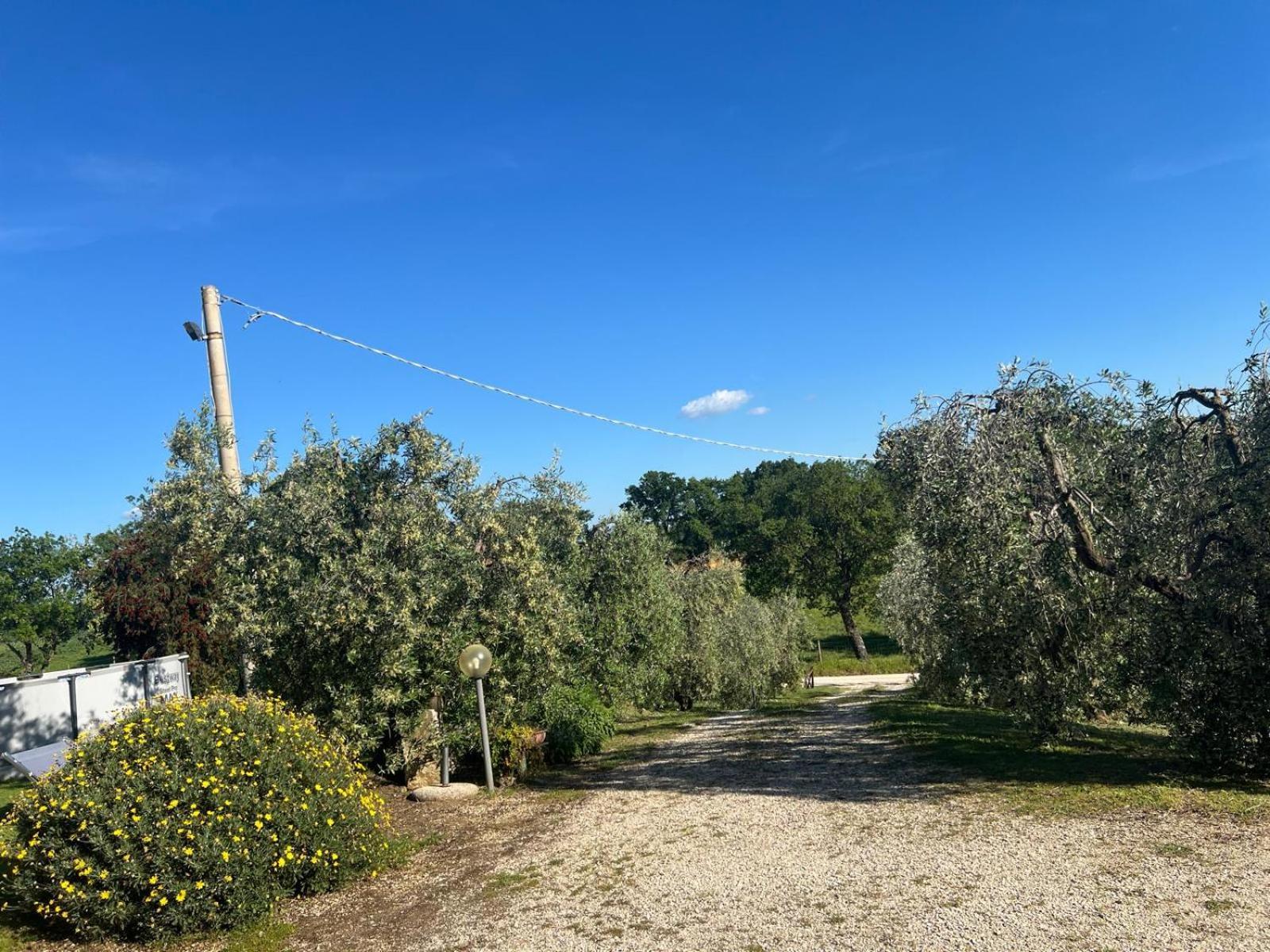 Agriturismo La Castellina Saturnia Zewnętrze zdjęcie
